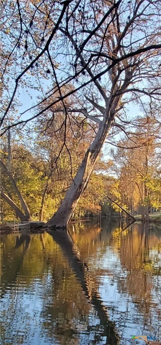 Fall in the park. | Image 8