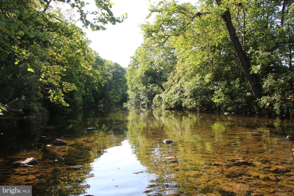 Wolf Gap Rd, Edinburg, VA 22824