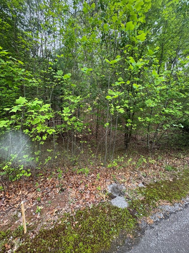 Lot 7 Arden Trl, Home with 0 bedrooms, 0 bathrooms and null parking in Blairsville GA | Image 4