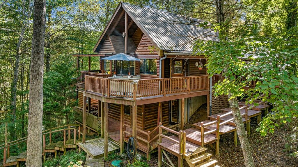 Frosty Mountain Rd, Mineral Bluff, GA 30559