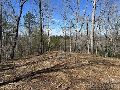00 Mill Creek Way, Rutherfordton, NC, 28139 | Card Image