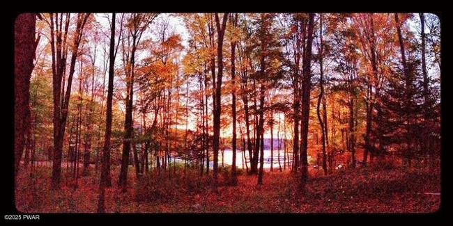 cabin sale photos-68 | Image 30