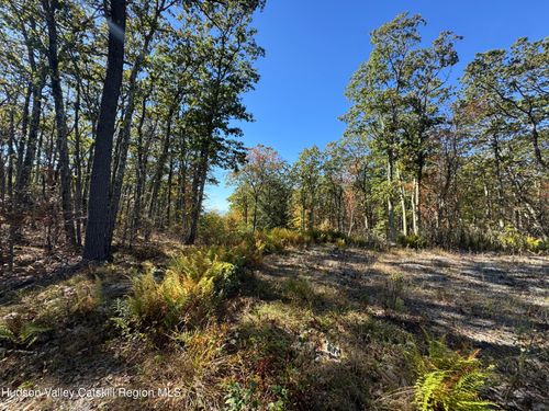 O Mercer Mountain Rd, East Chatham, NY, 12060 | Card Image