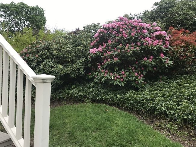 29 Brook St, House other with 4 bedrooms, 3 bathrooms and 4 parking in Wellesley MA | Image 22
