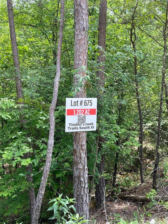 Land in Broken Bow 4