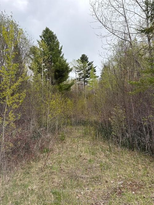 2035 Ventnor Rd, Spencerville, ON, K0E1X0 | Card Image