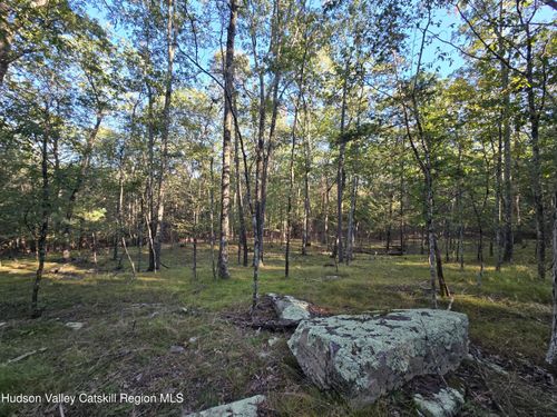 Tbd Glasco Tpke, Woodstock, NY, 12498 | Card Image