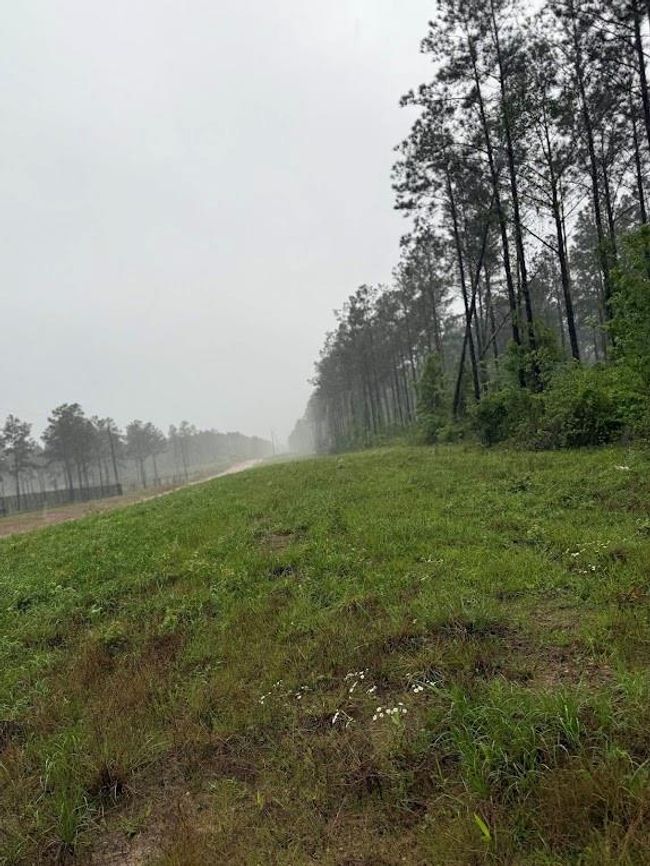 0 Richardson Rd E, Home with 0 bedrooms, 0 bathrooms and null parking in Livingston TX | Image 37