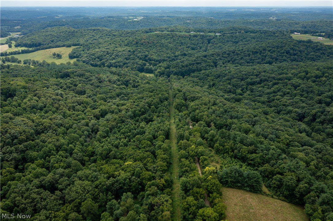 Land in Warsaw 4