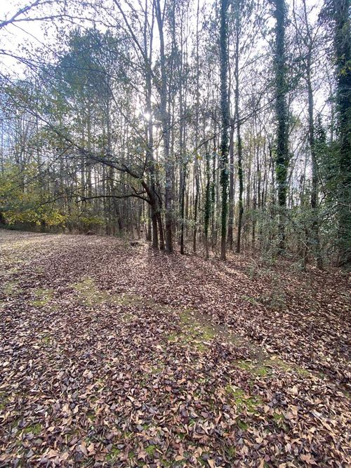Lot 81 Woodland Dr, Cataula, GA, 31804-3555 | Card Image