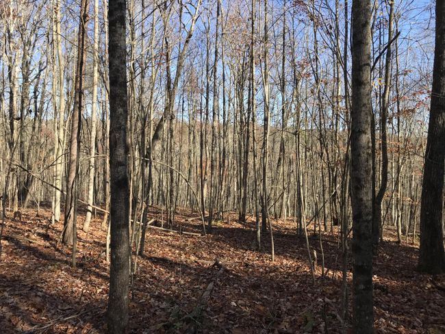 6 Hobbstown Rd, Home with 0 bedrooms, 0 bathrooms and null parking in Dunlap TN | Image 6