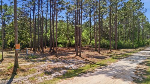 Lot 3 Elise St, Santa Rosa Beach, FL, 32459-5287 | Card Image