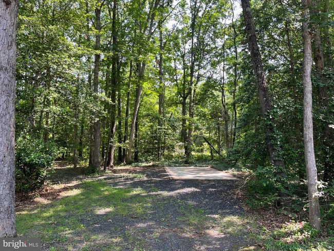 11459 Bristersburg Rd, House other with 5 bedrooms, 4 bathrooms and null parking in CATLETT VA | Image 32
