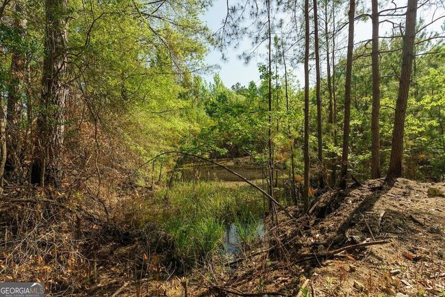 6053 Sun Hill Grange Rd, Home with 0 bedrooms, 0 bathrooms and null parking in Davisboro GA | Image 48