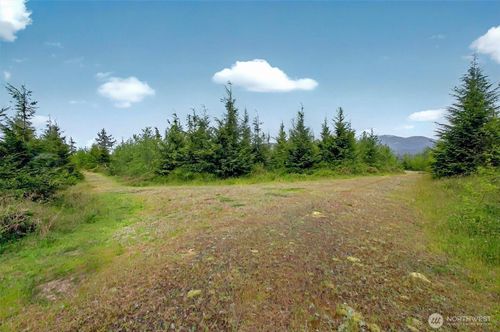 5-5 Parpala Rd, Naselle, WA, 98638-8612 | Card Image