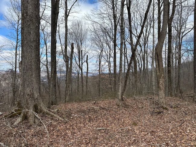 126 Northcutts Cove Rd, Home with 0 bedrooms, 0 bathrooms and null parking in Beersheba Springs TN | Image 4
