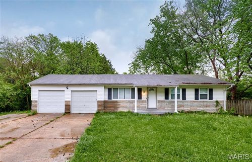 10132 Cavalier Ct, Saint Louis, MO, 63136-4212 | Card Image
