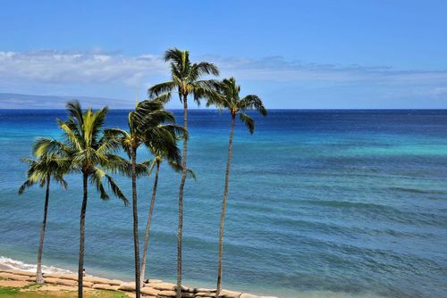 618-4365 Lower Honoapiilani Rd, Lahaina, HI, 96761-9205 | Card Image