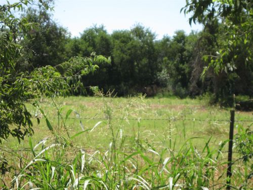 00 County Road 133, Hutto, TX, 78634 | Card Image