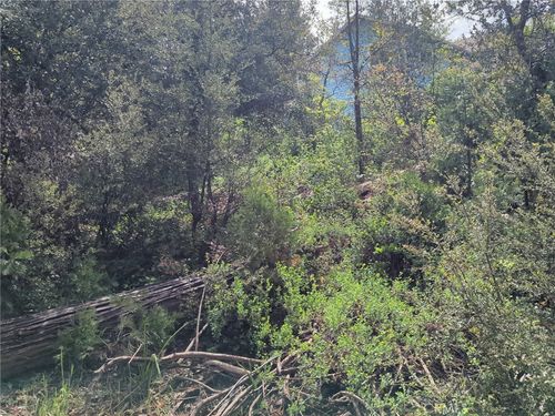 53309 Road 432, Bass Lake, CA, 93604-9765 | Card Image