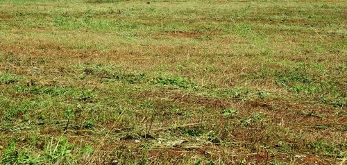 5195 Erath Block 24 Street, Fort Worth, TX, 76119 | Card Image