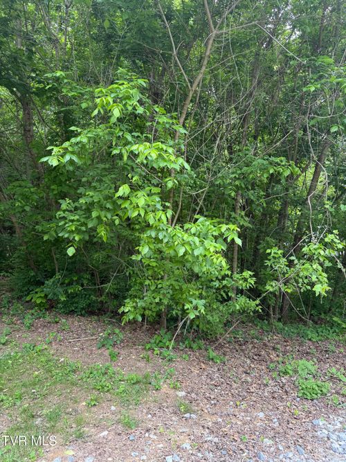 Tbd Neth Dr, Johnson City, TN, 37601 | Card Image