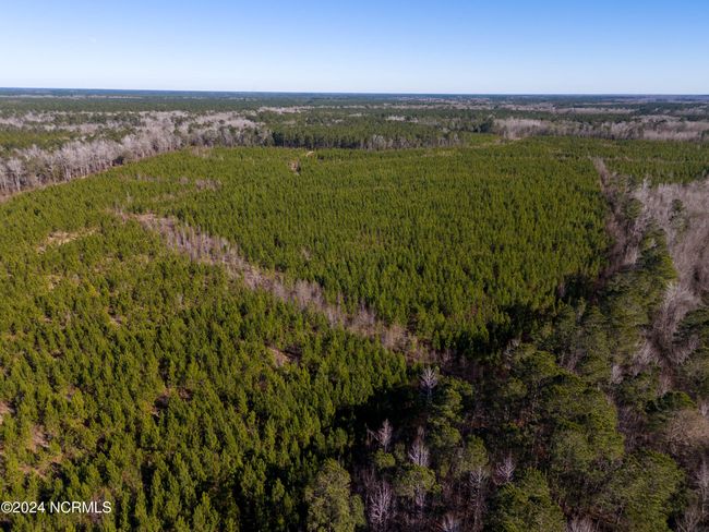 00 Sykes Town Rd, Home with 0 bedrooms, 0 bathrooms and null parking in Currie NC | Image 42