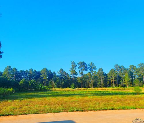  Southern Pines Lot 25, Hallsville, TX, 75650 | Card Image