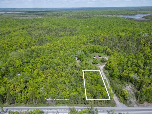 994 County Rd 49, Trent Lakes, ON, K0M1A0 | Card Image