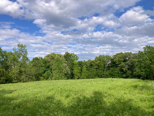 265 - 24265 S Mohawk Rd, Home with 0 bedrooms, 0 bathrooms and null parking in Mohawk TN | Image 8