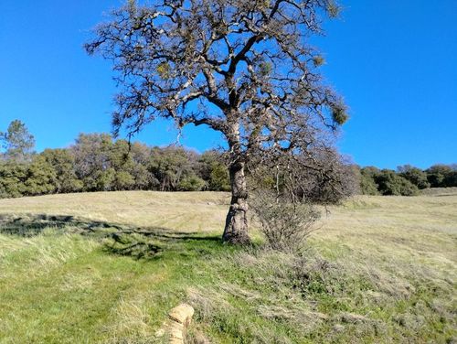 24075 Clayton Rd, Grass Valley, CA, 95949-8155 | Card Image