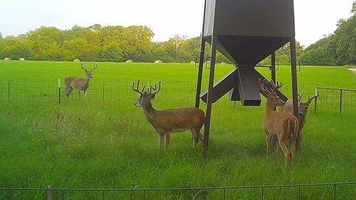 321 Private Road 6815, Eustace, TX, 75124 | Card Image