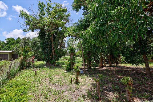 59-439 Alapio Rd, Home with 0 bedrooms, 0 bathrooms and null parking in Haleiwa HI | Image 11