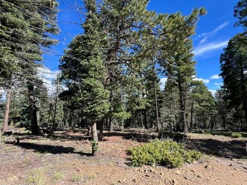 TBD Cimarron Trl, Angel Fire, NM, 87710 | Card Image