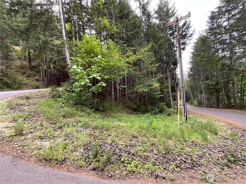 1 N Colony Surf Dr, Lilliwaup, WA, 98555 | Card Image