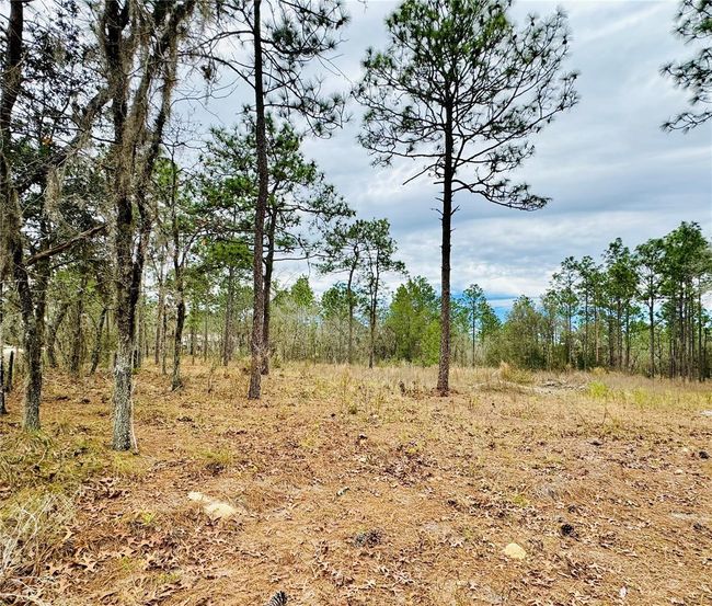 Lot 3 Sw 93 Rd St, Home with 0 bedrooms, 0 bathrooms and null parking in DUNNELLON FL | Image 4