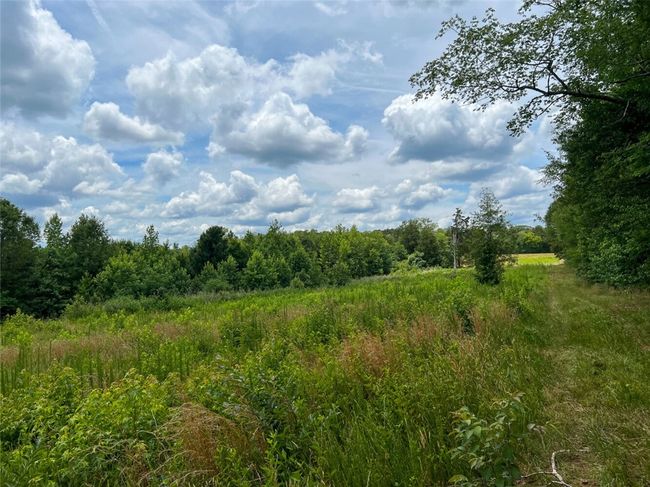 B - 00 Quarter Round Rd, Home with 0 bedrooms, 0 bathrooms and null parking in pacolet SC | Image 11