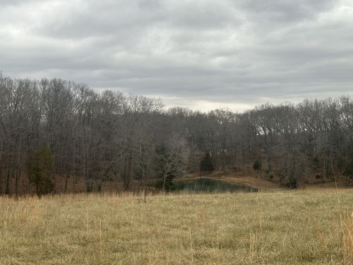 1 Myatt Loop Rd, Burns, TN, 37029 | Card Image