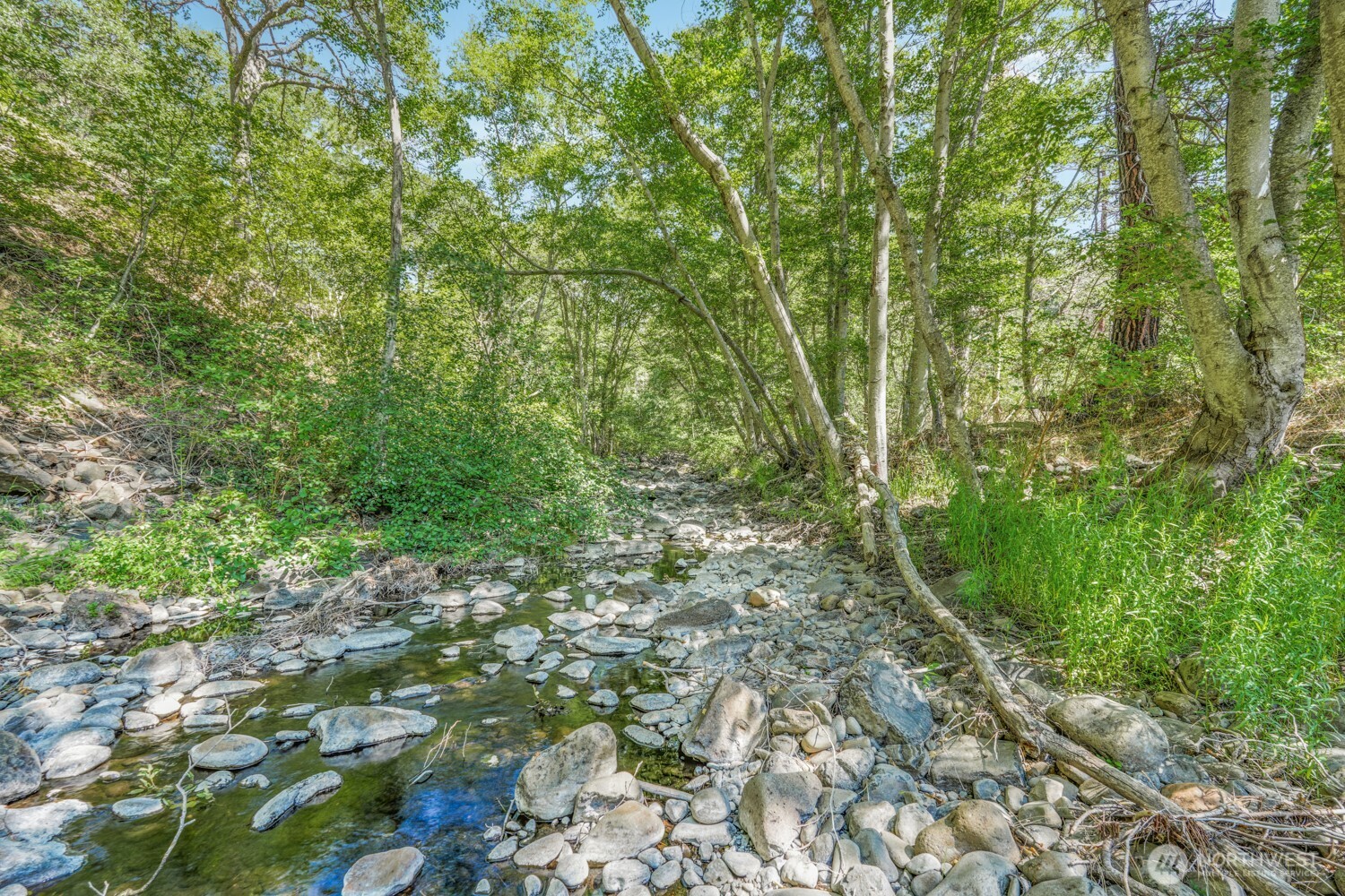 Land in Goldendale 5