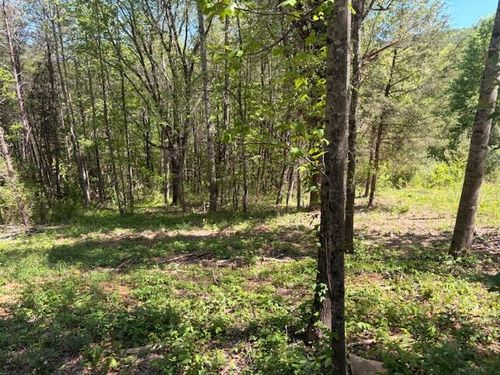 00 Bivens Court, Niota, TN, 37826 | Card Image