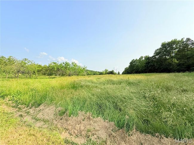 View of undeveloped land featuring rural landscape | Image 52