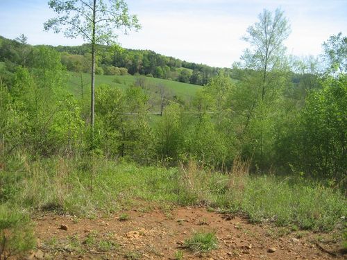 654 Silverleaf Rd, Dugspur, VA, 24325-3639 | Card Image