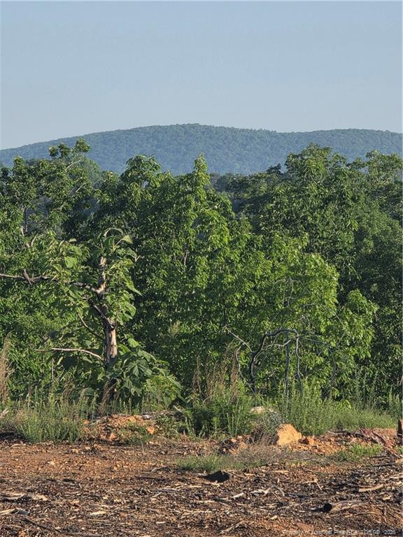 Land in Asheboro 2