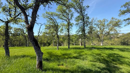 19816 Tedrock Mountain Place, Cottonwood, CA, 96022 | Card Image