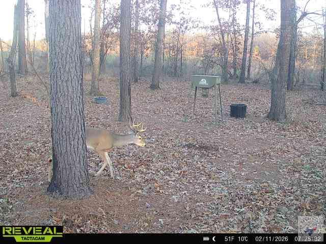 Land in DeKalb 3