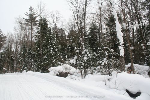 0 Pt Lt 29 Con 10 N/A, Huntsville, ON, P1H2J3 | Card Image