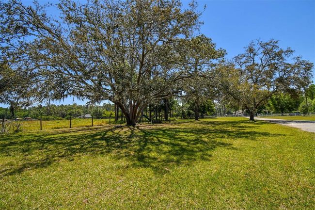 15513 Phillips Rd, House other with 4 bedrooms, 3 bathrooms and null parking in ODESSA FL | Image 92