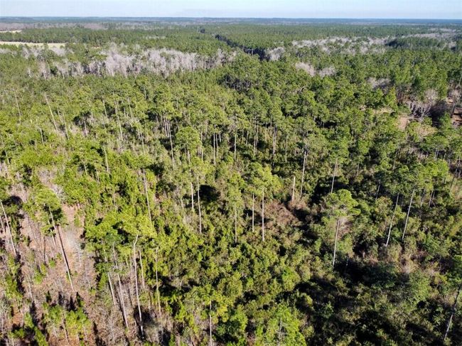 0 Robert White Rd, Home with 0 bedrooms, 0 bathrooms and null parking in Bay Minette AL | Image 8