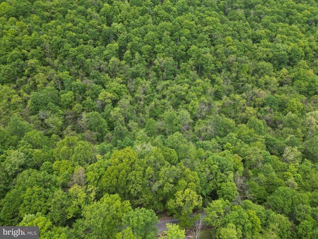 LOT 4 Yost Rd, Home with 0 bedrooms, 0 bathrooms and null parking in New Creek WV | Image 15