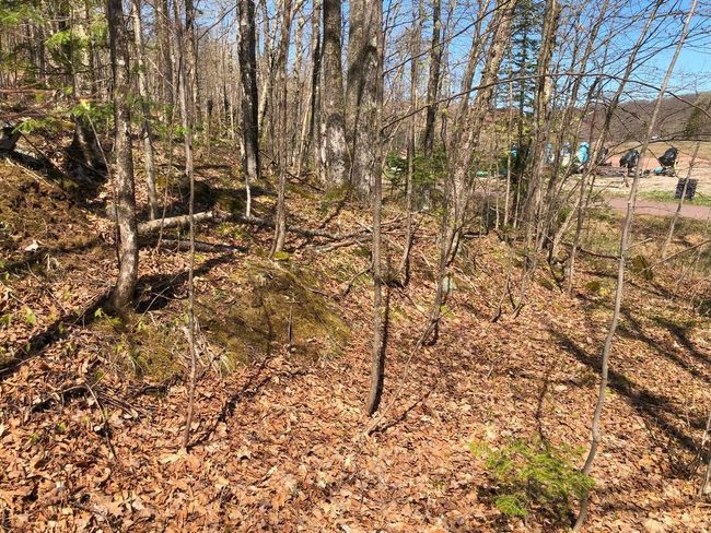 Lot 35 N Alpine Dr, Home with 0 bedrooms, 0 bathrooms and null parking in Upson WI | Image 17